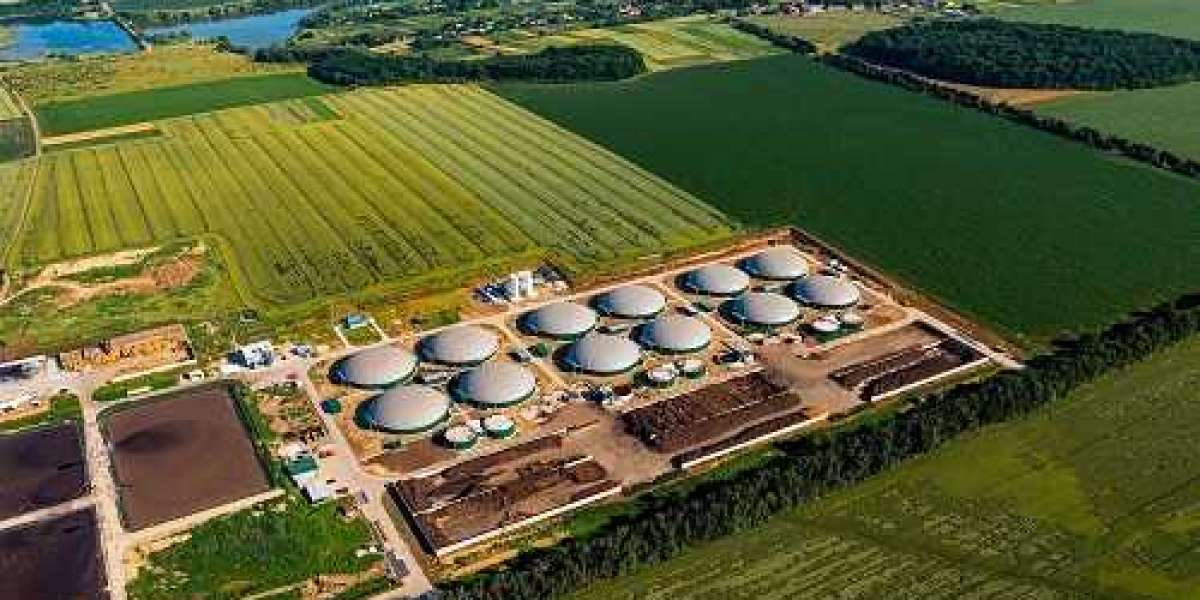 Biogas Market Size $83.97 Billion by 2030