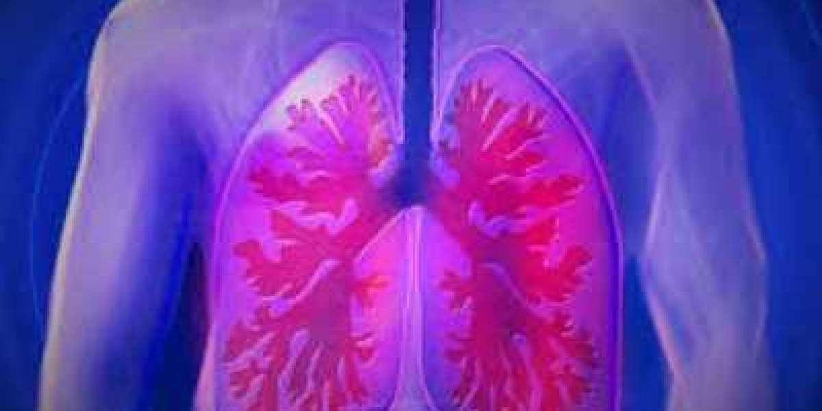 Lung in Vitro Model Market Size $976.1 Million by 2030