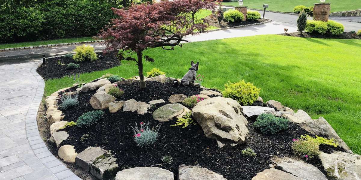 Elevate Your Garden: Expert Tips for Choosing the Right Garden Maintenance Services in Curl Curl