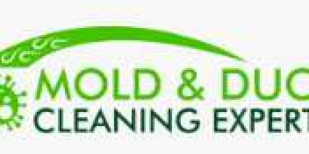 Mold Inspection in FL: A Comprehensive Guide