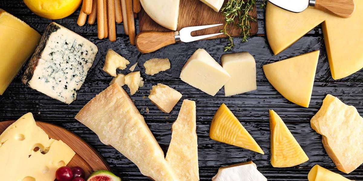 Cheese Manufacturing Plant Project Report 2024: Business Plan, Raw Materials, Cost and Revenue