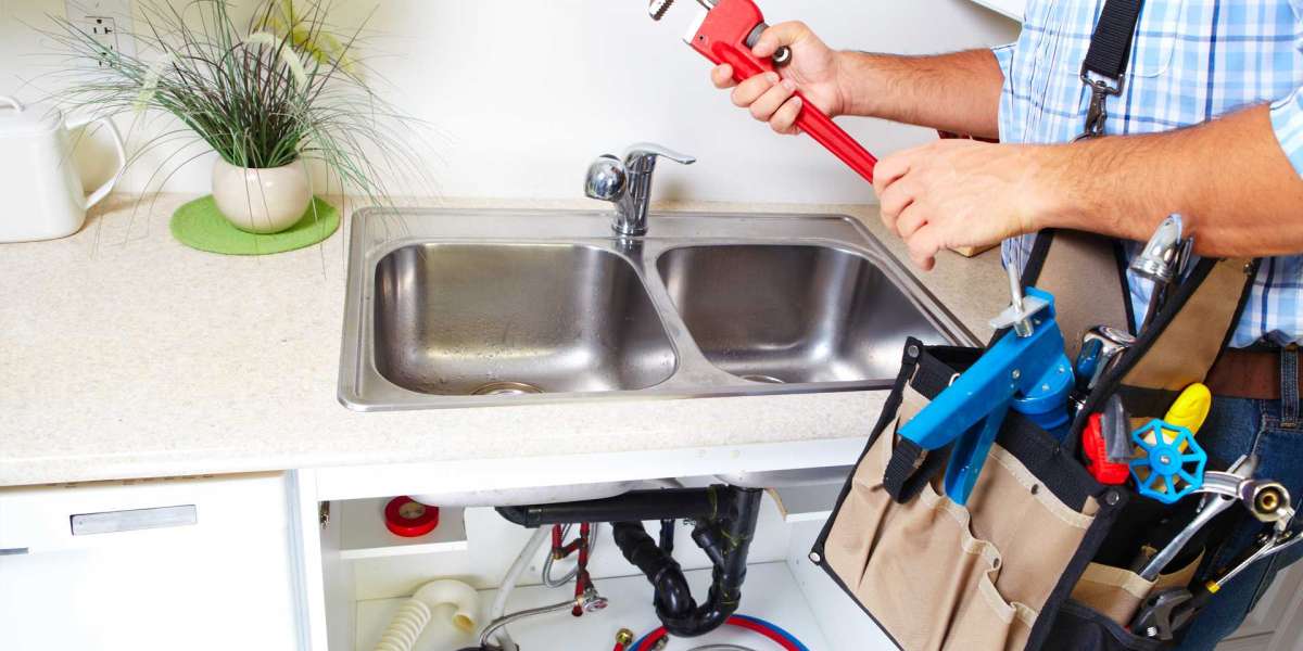 Mastering Kitchen Plumbing: Tips and Insights for Tampa Homeowners