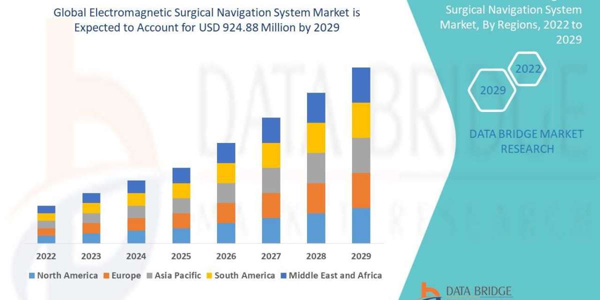 Electromagnetic Surgical Navigation System  Industry Size, Share Trends, Growth, Demand and Opportunities by 2029