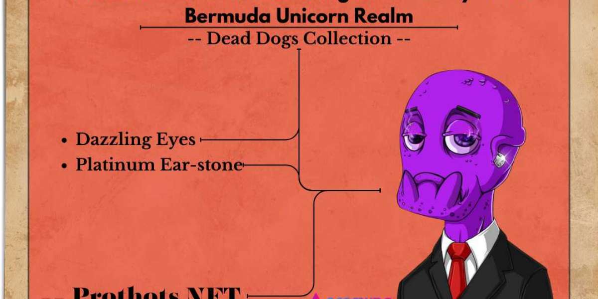 Prothots Unleashed: Decoding NFT Mastery in the Bermuda Unicorn Realm