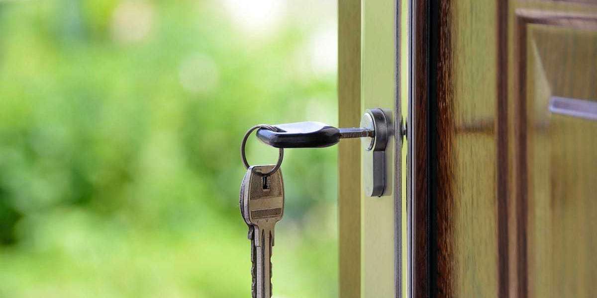Beyond Traditional Locksmith Services: Dealing with the Lock and Key Python Problem