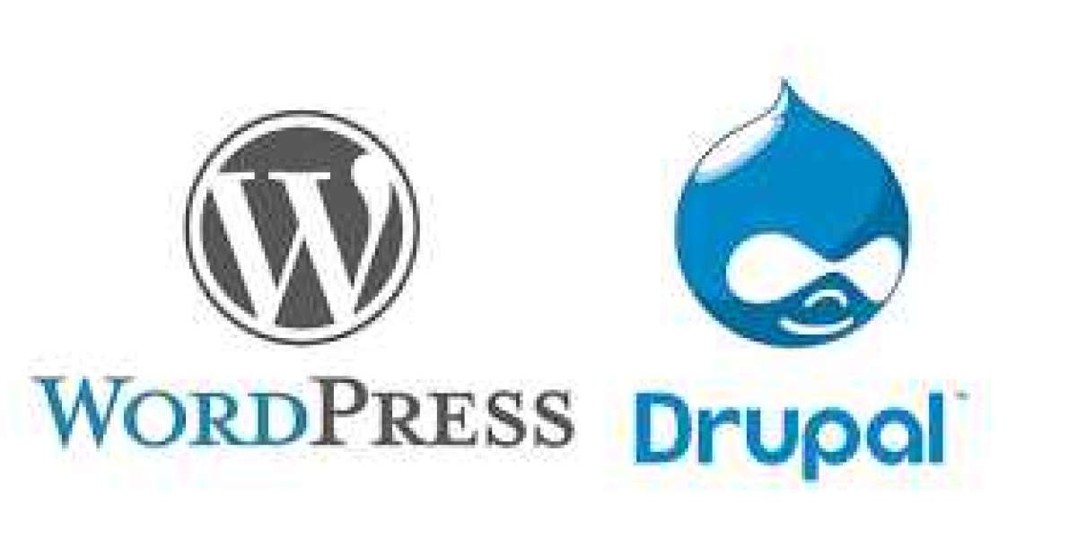 "Behind the Screens: Exploring the WordPress vs. Drupal Discourse on Reddit"
