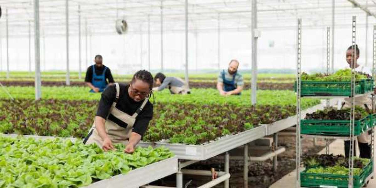 10 Vital Things You Need to Know About Farm Labor Contractors