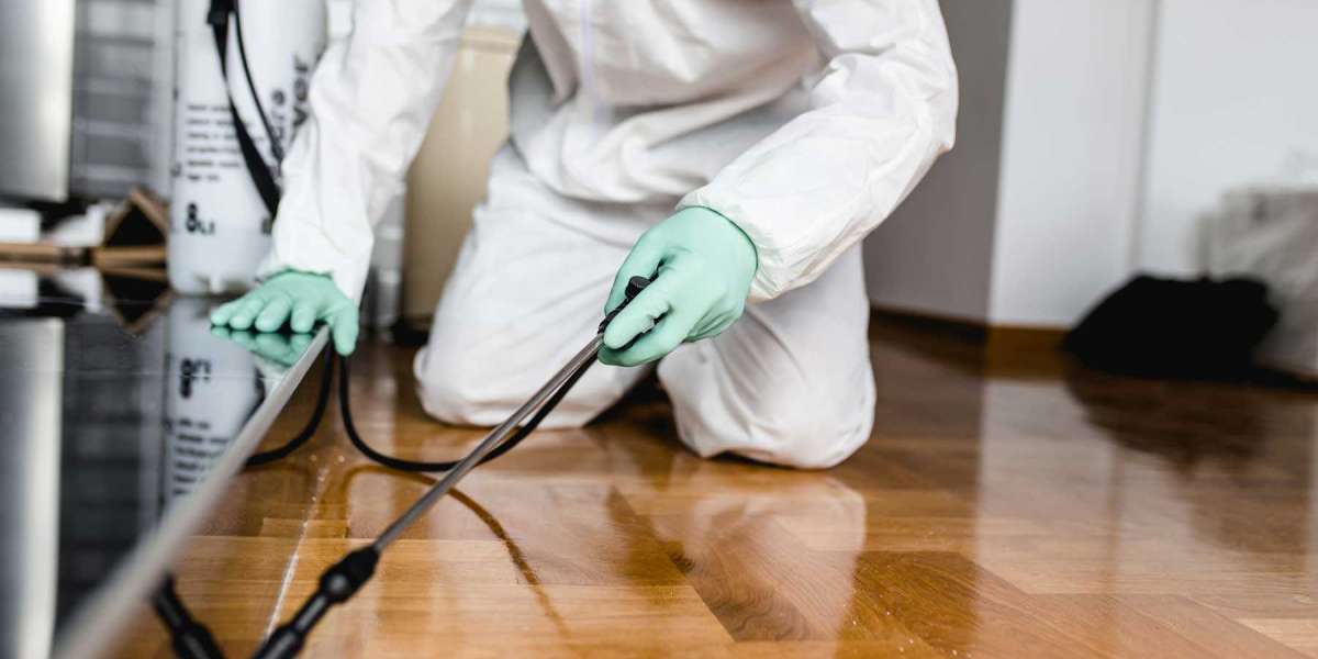 Expert Tips for Choosing the Right White Ant Inspection Service in Perth with Pest Solutions