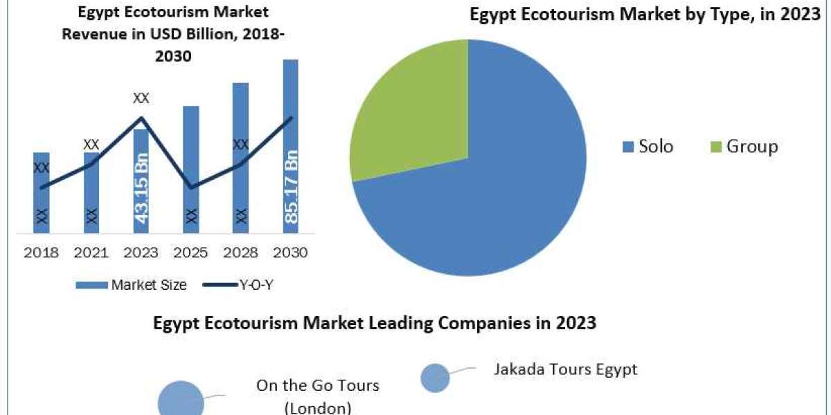 Egypt Ecotourism Market Size, Share, Development Status, Top Manufacturers, And Forecasts