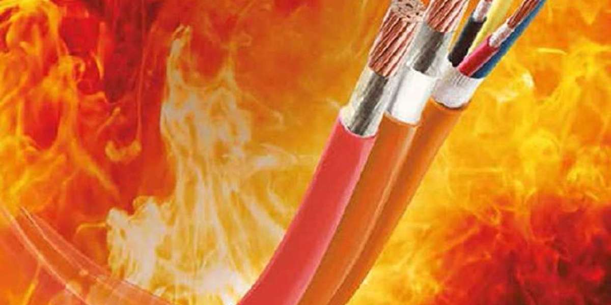 A Closer Look: Fire Rated Cables Market's 3.7% CAGR Dynamics