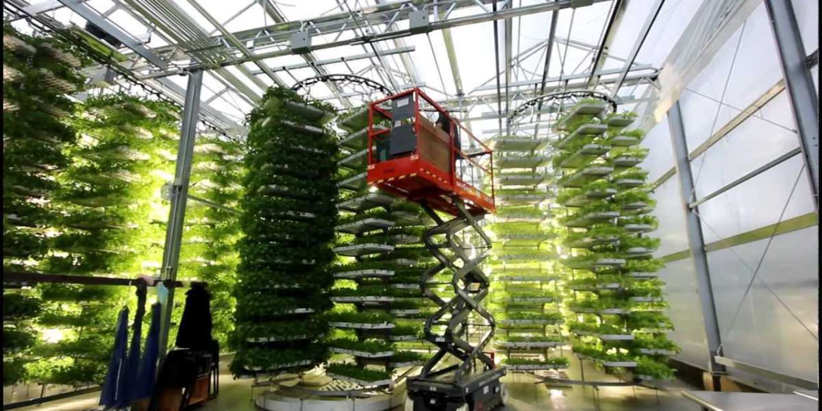 Revolutionizing Agriculture: The Upward Push Of Vertical Microgreen Farming
