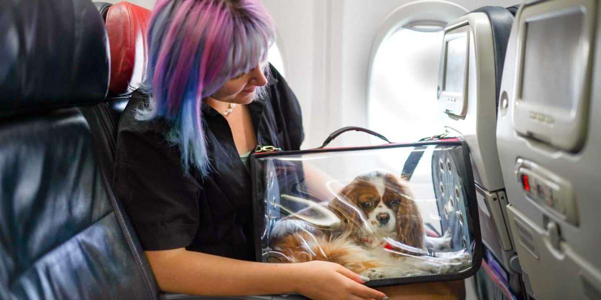 How do I fly with a pet at Air Canada?