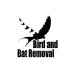 Bird and Bat Removal