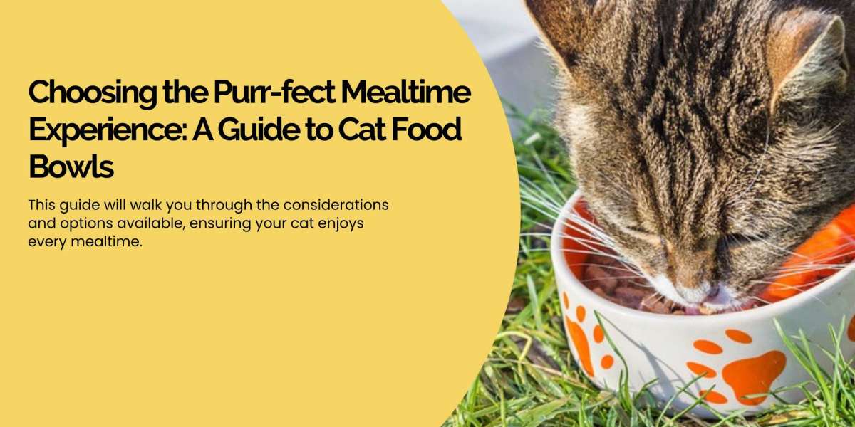 Choosing the Purr-fect Mealtime Experience: A Guide to Cat Food Bowls
