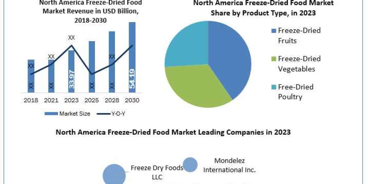 North America Freeze-Dried Food Market Investment