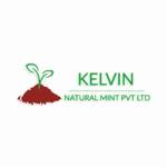 Kelvin Natural Mint