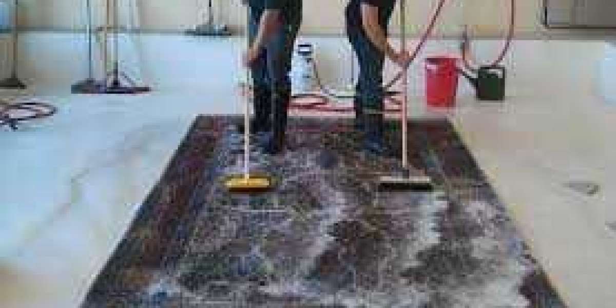Professional Carpet Cleaning Services for Germ-Free Living