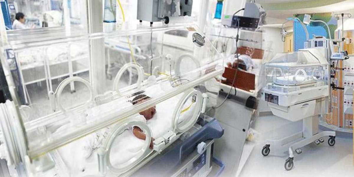 Fetal and Neonatal Care Equipment Market Report, Size, Share, Growth, Trends and Forecast 2024-2032