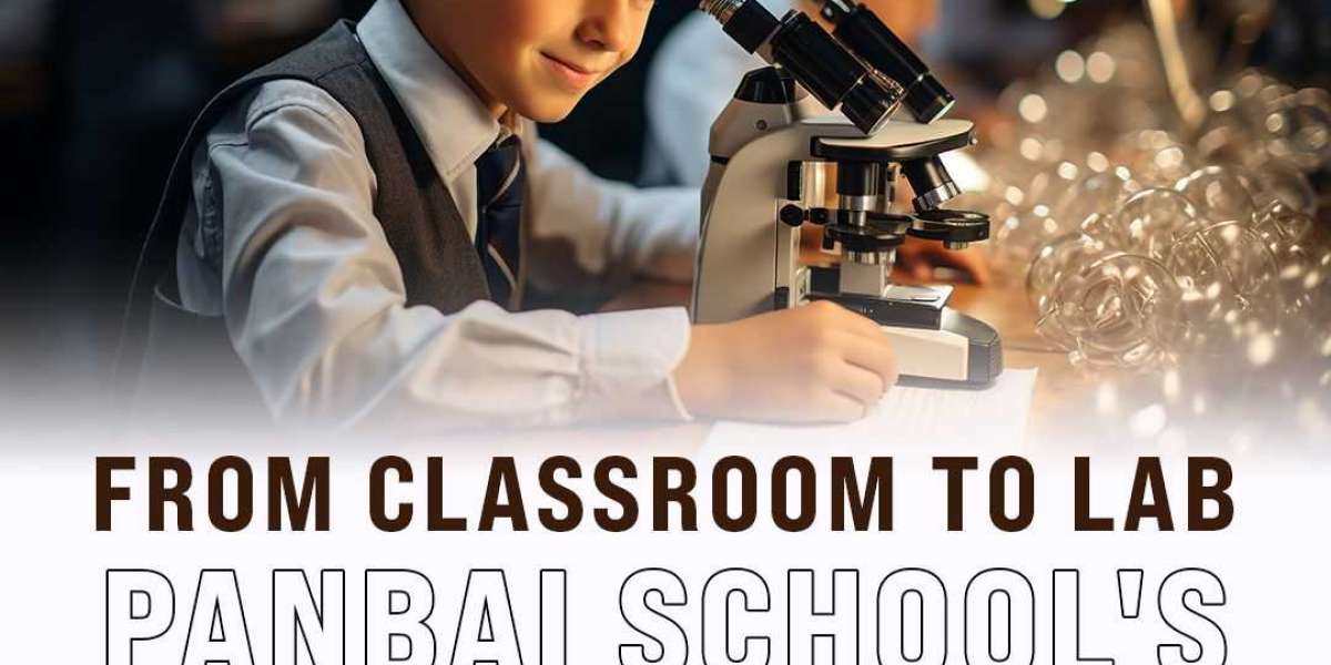 From Classroom to Lab: Panbai School's Embrace of Hands-On Learning in Science and Research