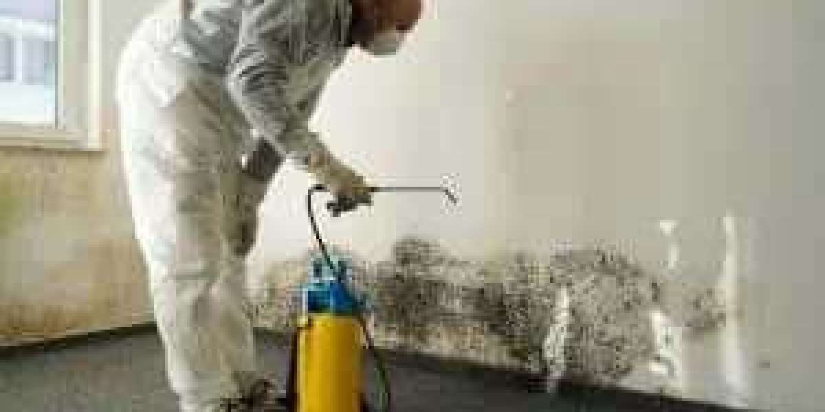 Mold clean up