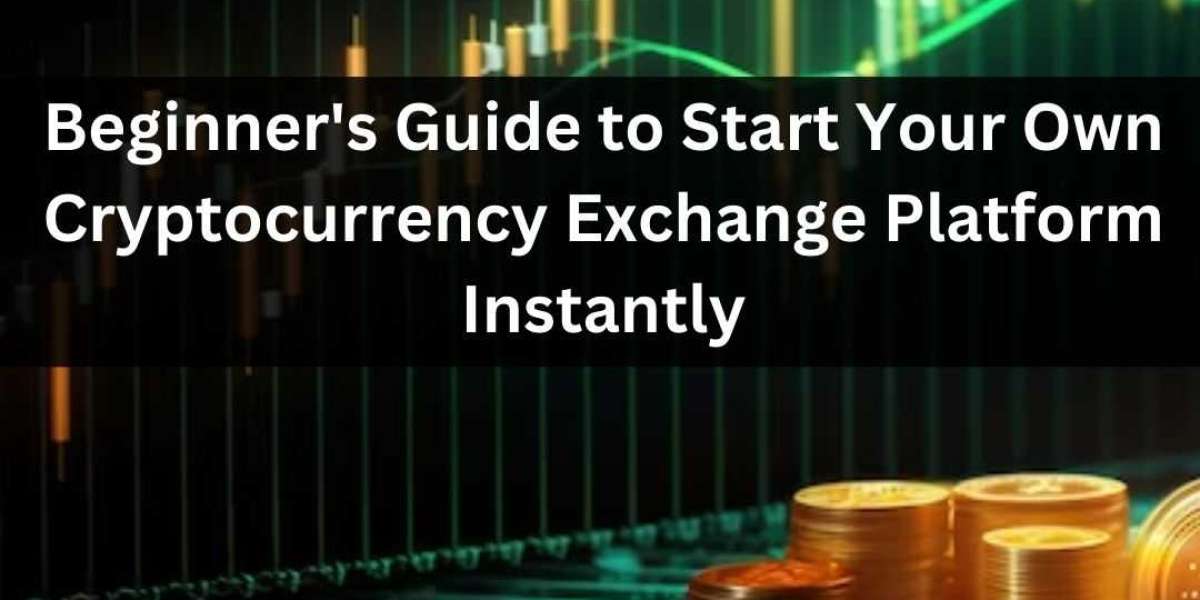 A Beginner's Guide: How to Start Your Own Cryptocurrency Exchange Platform Instantly?