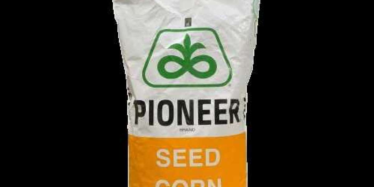 P4040 Hybrid Corn Seed Pioneer Brand 3500: Revolutionizing Corn Farming