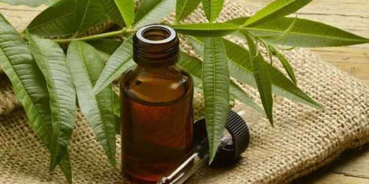 Tea Tree Oil Market to Experience Significant Growth by 2033