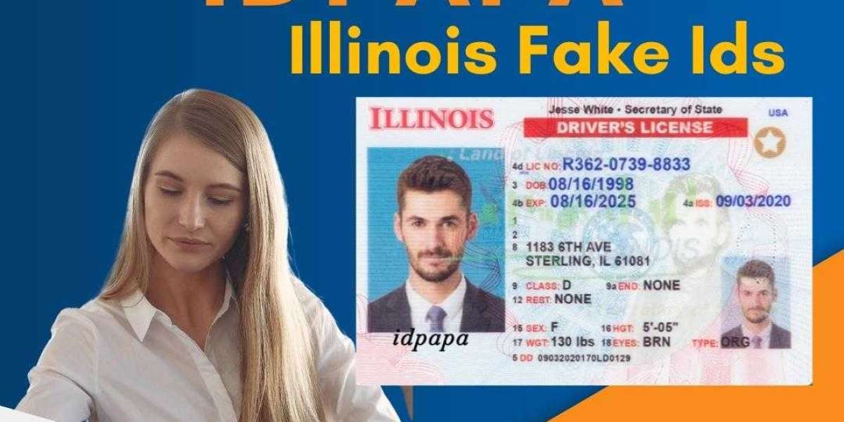Illinois Dreams: Purchase the Best Fake ID for Illinois from IDPAPA!