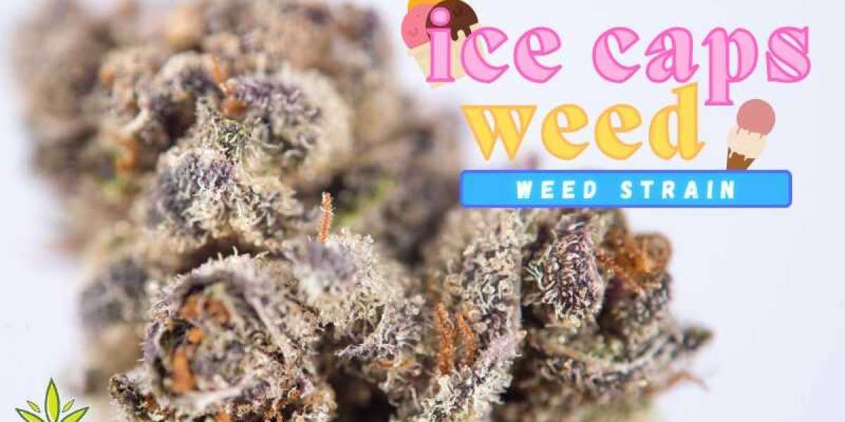 Frosty Fun: Exploring the Recreational Use of Ice Capz Weed