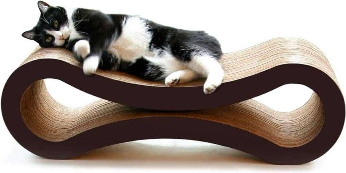 Cat Scratcher Lounge Market Size, Industry Share, Report and Global Forecast till 2022-2030