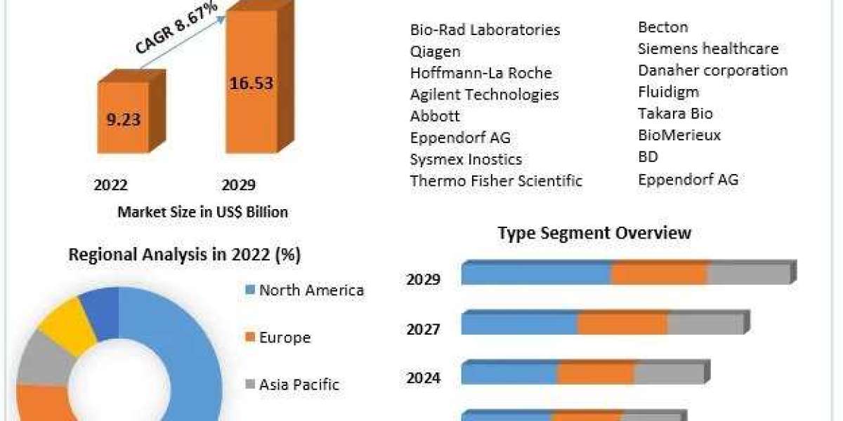 Polymerase Chain Reaction Market Trends, Growth, New Opportunities And Forecast 2030