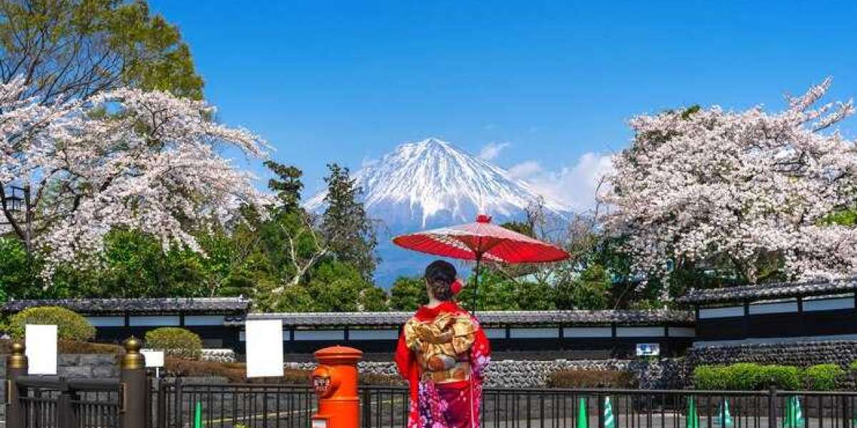 Mt. Fuji Tour Package: Explore the Enchanting Landscapes and Cultural Treasures of the Fuji Region