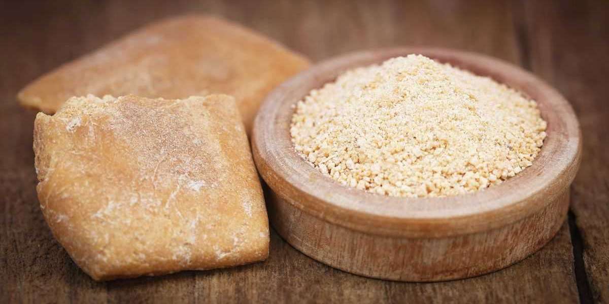 Global Xanthan Gum Market: Size, Growth, Trends, and Outlook for 2024-2032
