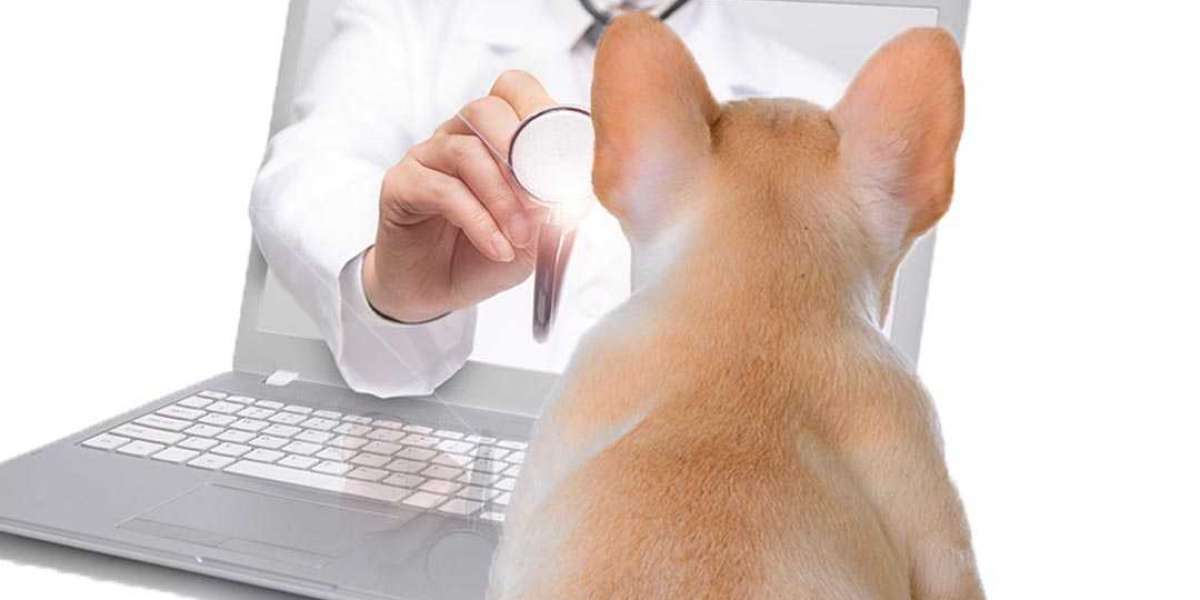 Veterinary Telehealth Market 2024-2032: Latest Updates, Industry Size, Share, Growth Opportunities