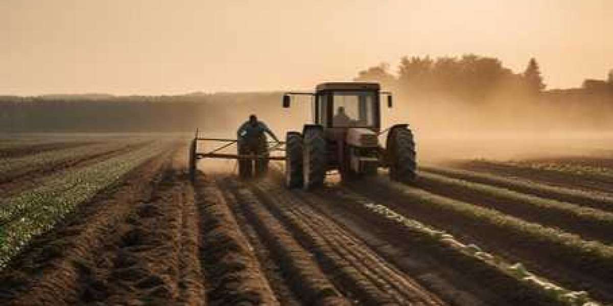 Transforming Agriculture with Agricultural Contractors in Florida