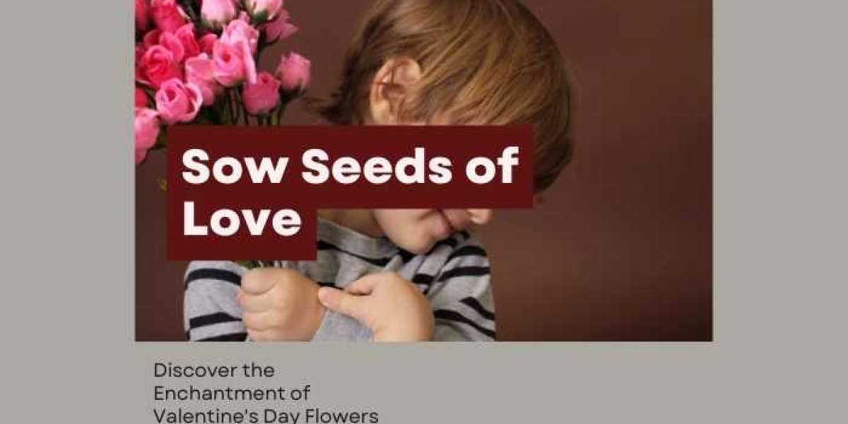 Sow Seeds of Love: Discover the Enchantment of Valentine's Day Flowers