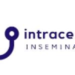 intracervical insemination