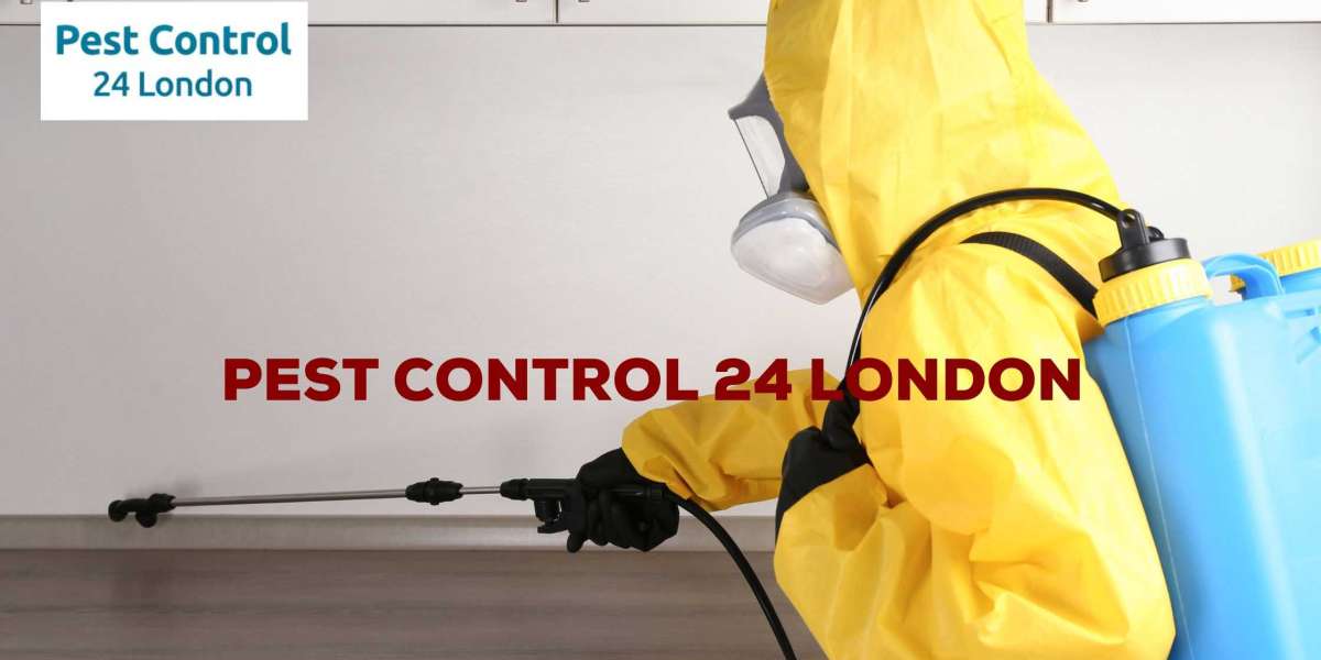 Emergency Pest Control London: Quick Solutions for Urgent Pest Problems