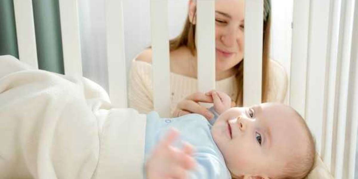Market Evolution: Adapting to Future Demand Trends in Baby Proofing