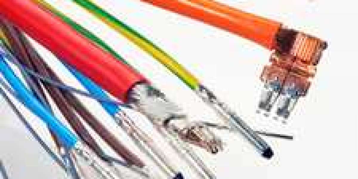 Shaping Industry Landscapes: Cable Accessories Market's 6.2% CAGR Perspective