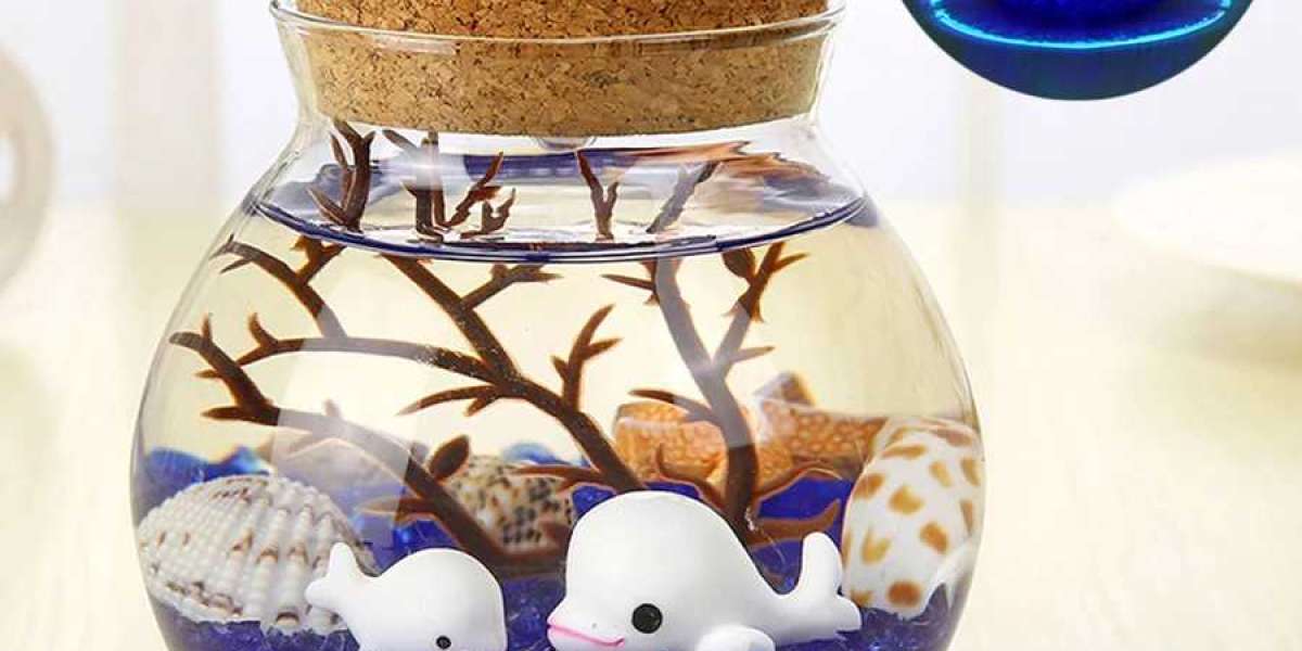 Gifts for a Child Who Likes Marine Life and Aquariums
