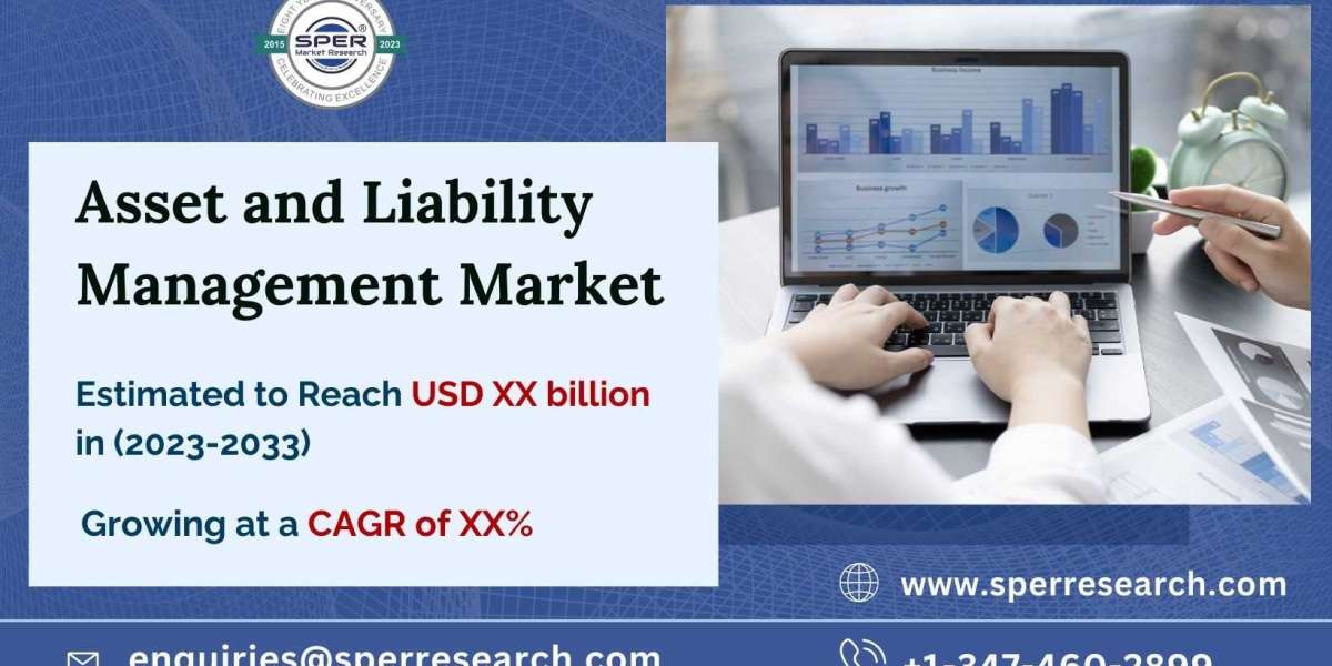 Asset and Liability Management Market Growth and Forecast 2033