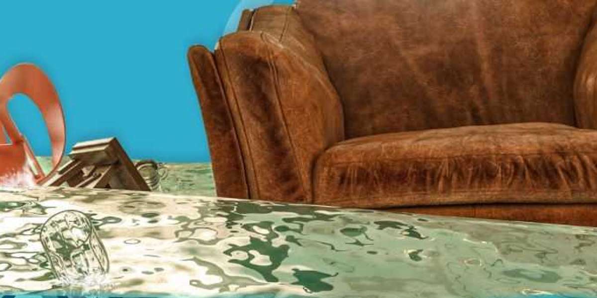 Navigating Flooded Waters: Choosing the Right Professional Service for Carpet Drying in Perth