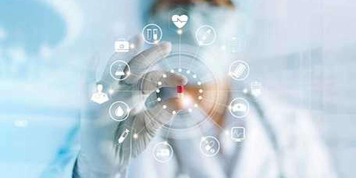 Digital Identity in Healthcare Market Share & Growth 2024-2032