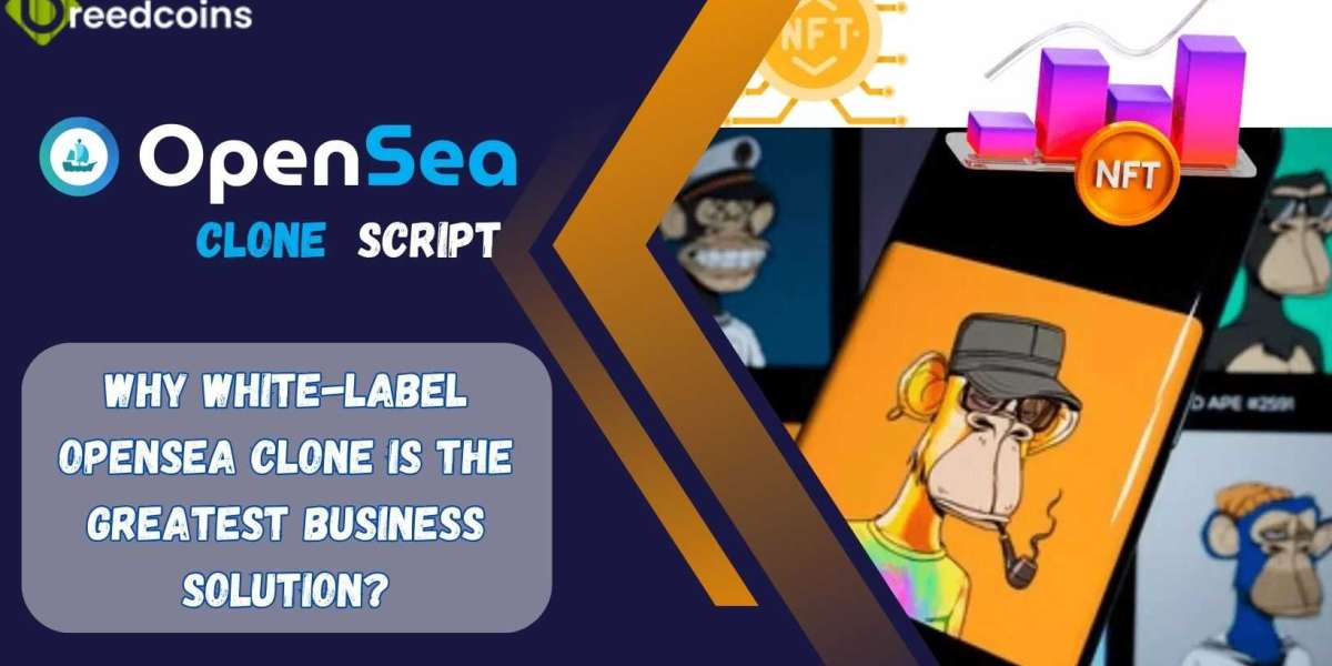 Why White-Label OpenSea Clone is the Greatest Business Solution?