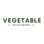 Vegetables Encyclopedia