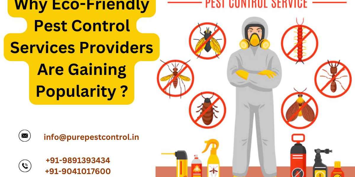 Why Eco-Friendly Pest Control Services Providers Are Gaining Popularity?