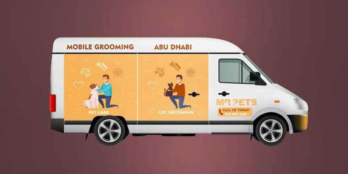 Luxury Pampering: Discovering Abu Dhabi's Premier Pet Grooming Salons