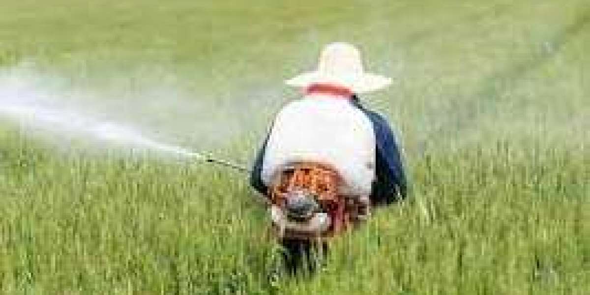 "Herbicides Market to Reach USD 53.21 Million by Forecast 2032"