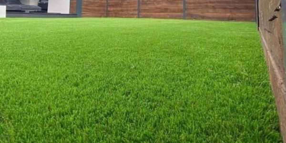 Discover the Difference | Premium Artificial Grass Services in Sydney